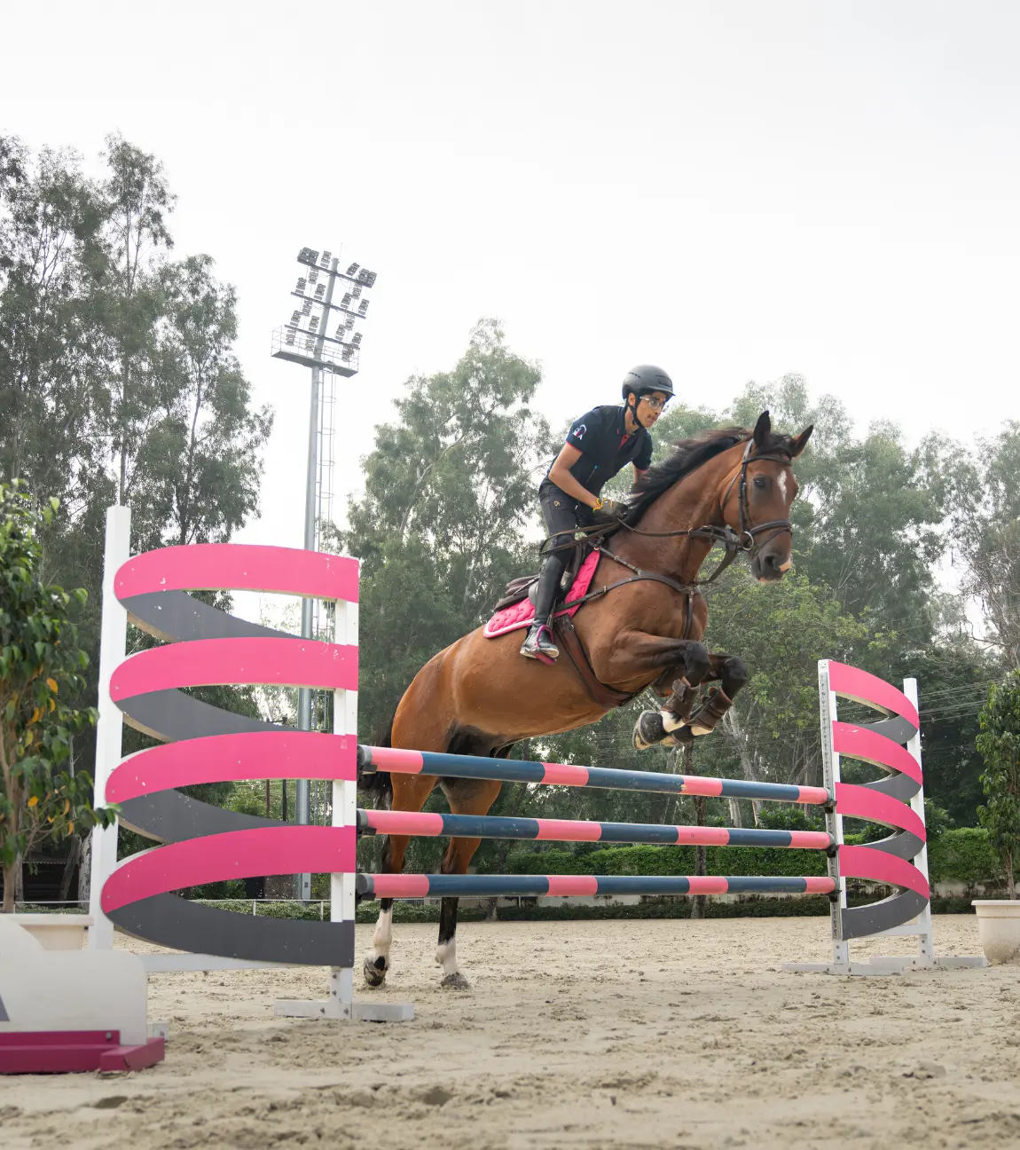 Equestrian Adventure