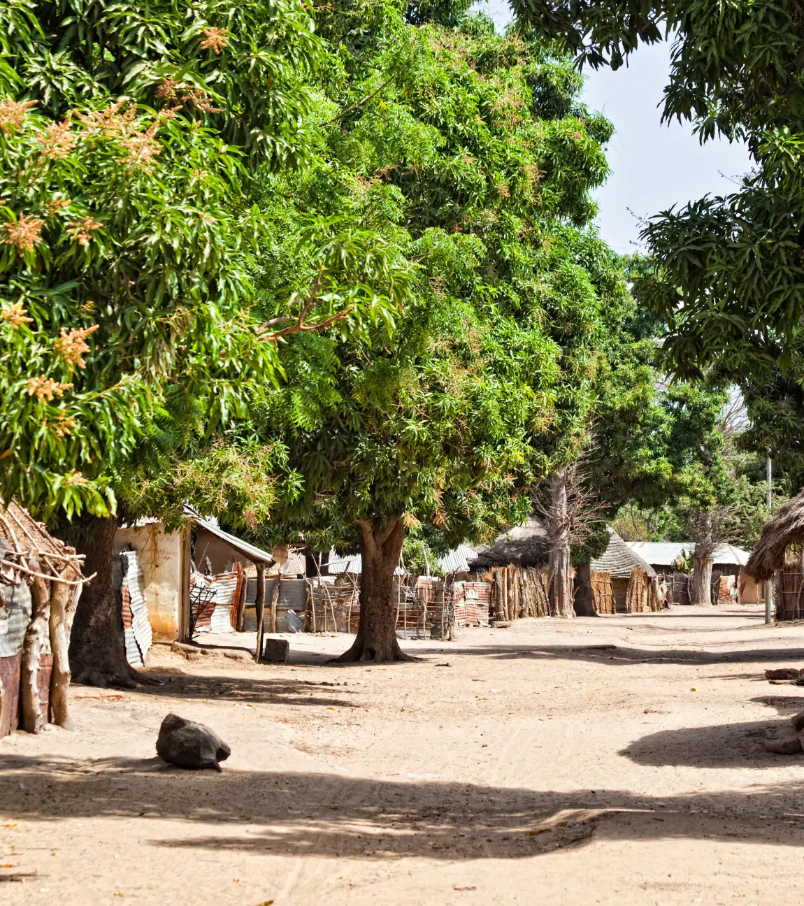 Heritage Village Walk