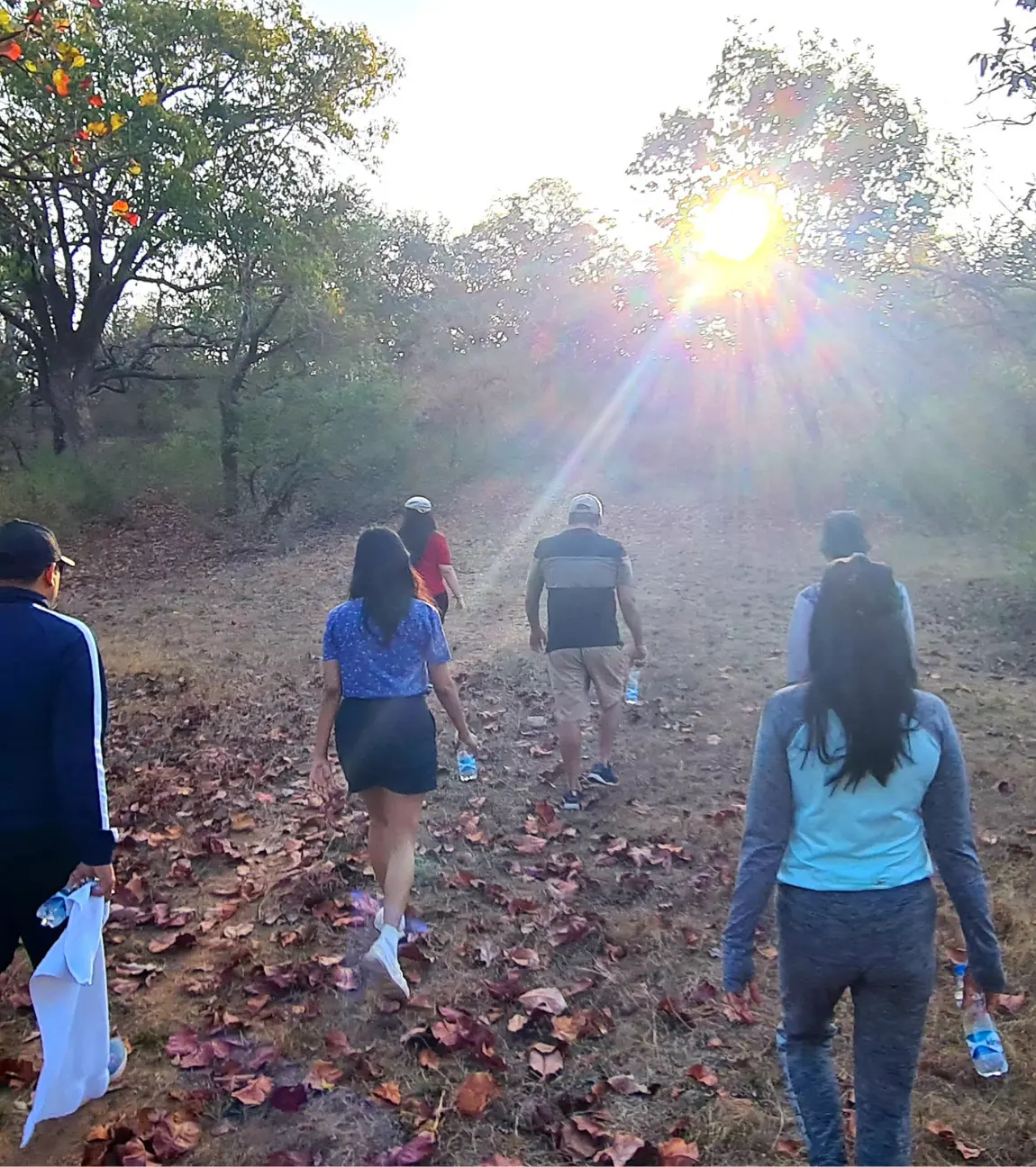 Nature Walk & Birdwatching