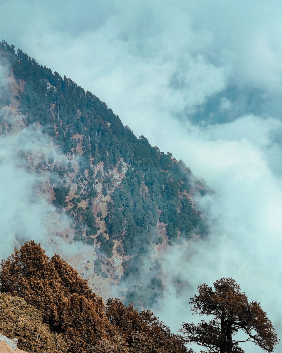 AM Hotel Kollection - Golden Rock, Dharamshala