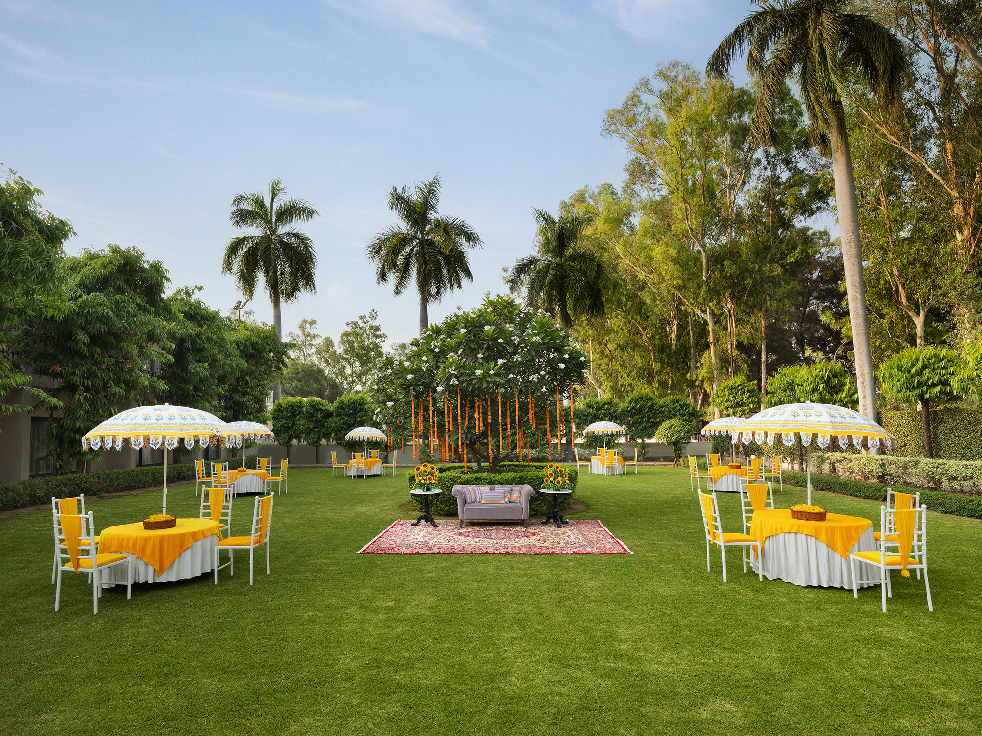 Garden Lawn
