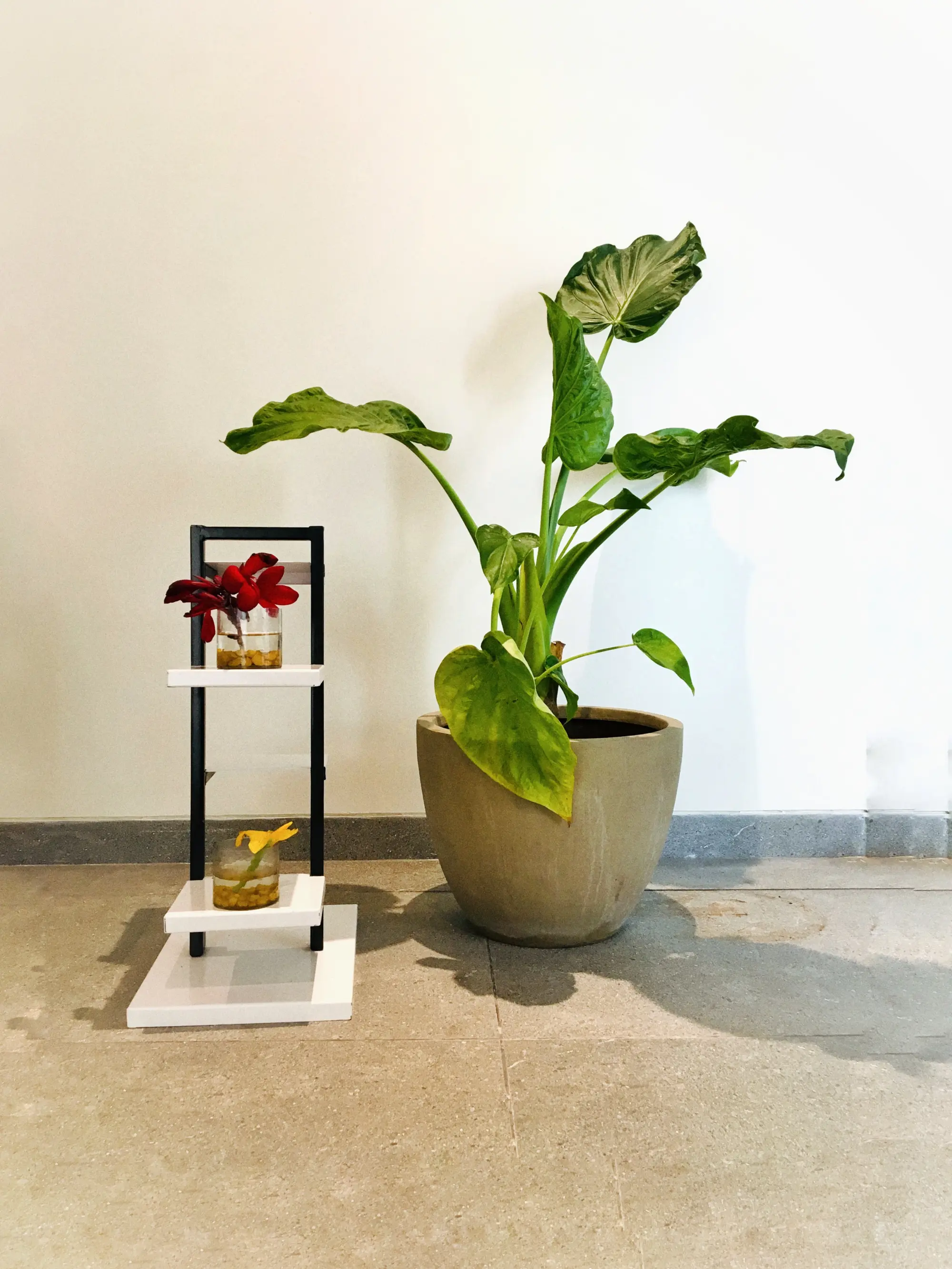 resort gallery